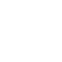 aligator