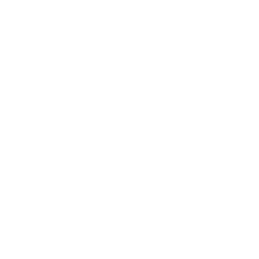 carwipers