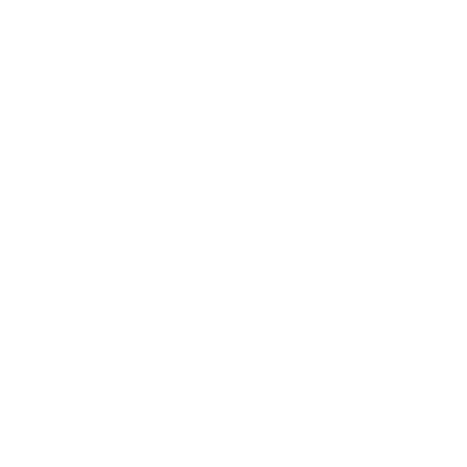 pirate