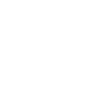 seagull