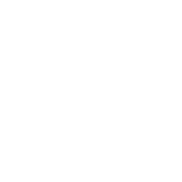springrain