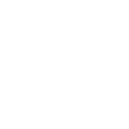 wave